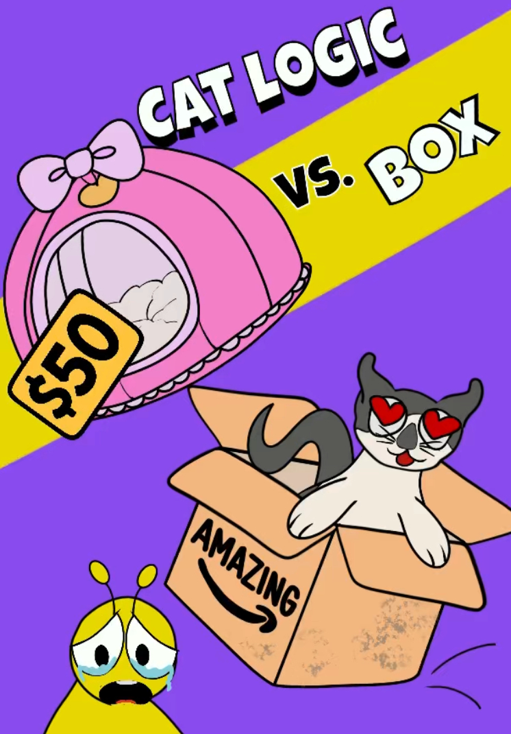 Cat Chooses Box Over Fancy Bed!